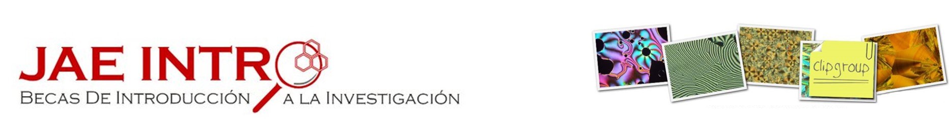 Imagen1.jpg