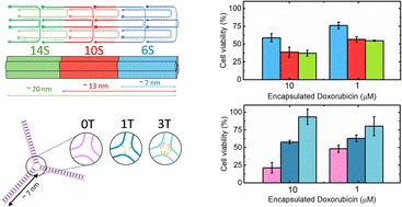 DNA-based nanost.jpg