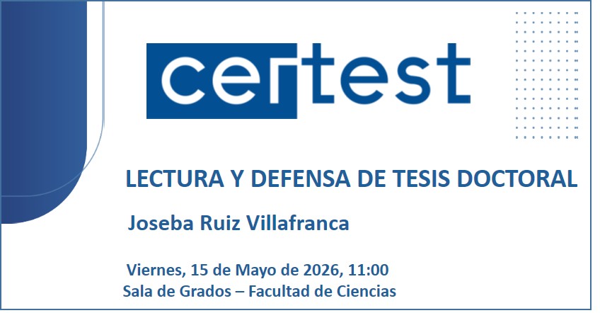 Tesis Joseba Ruiz