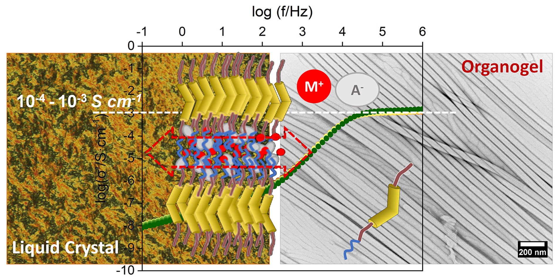 ion conductive bemt core