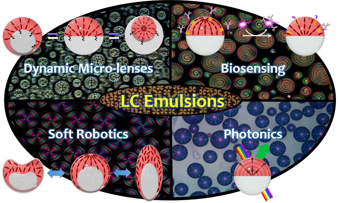 LC emulsions.jpg